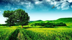 Check spelling or type a new query. Free Download Beautiful Green Landscape Wallpaper Desktop 1920x1080 For Your Desktop Mobile Tablet Explore 47 Scenic Wallpaper Desktop Free Scenic Desktop Wallpaper