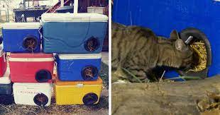 Shelters are useful for keeping stray, lost, neglected and other outdoor cats warm and protected from the elements, in addition to their primary. Man Makes Winter Shelters For Stray Cats Out Of Discarded Coolers Bored Panda