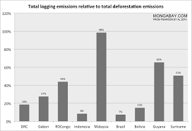 Penelitian Emisi Penebangan Di Sektor Kehutanan Menyumbang 16 Dari Total Deforestasi Mongabay Co Id