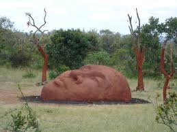 Do you need chicken wire? Pete Sue Hill Mud Heads