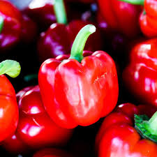 Image result for Capsicum