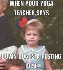 When Your Yoga Teacher Says Down Dog Is A Resting Pose Funny Yoga Memes Yoga Meme Yoga Quotes Funny