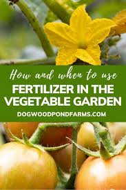 Check spelling or type a new query. Fertilizer For The Vegetable Garden In 2020 Garden Fertilizer Vegetable Garden Fertilizer Fertilizing Vegetables