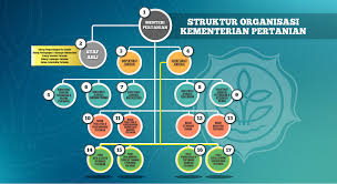 Kantor pusat kementerian pertanian republik indonesia, jalan harsono rm no. Kementerian Pertanian Struktur Organisasi