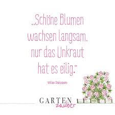 Gartenspruche Sinnspruche Spruche Sinnspruche Garten Zitate Spruche Garten Blumen Spruch Garten Zitate Gartenspruche