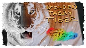 Over 129 tabby tiger pictures to choose from, with no signup needed. Golden Tabby Tiger Digital Painting Time Lapse Youtube