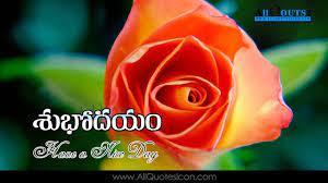 Telugu Good Morning Quotes Wshes For Whatsapp Life Facebook Images Inspirational Thoughts Good Morning Beautiful Flowers Beautiful Flowers Images Flower Images