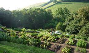 In particular, permaculture gardening has a focus on making use of the existing natural ecosystem to create your garden, and building soil quality so you rejuvenate the earth while growing plants. 8 Simple But Sure Steps To Miracle Farms How You Make A Living From A 4 Acre Permaculture Orchard Photo Permaculture Gardening Beautiful Gardens Permaculture