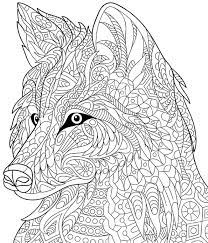 Die wolf zum ausmalen sind in verschiedene schwierigkeitsstufen erhältlich. Wolf 4 Ausmalbilder Fur Erwachsene