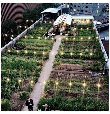 Rooftop Garden Urban Rooftopgardenurban In 2021 Rooftop Garden Urban Urban Garden Rooftop Garden