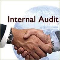 Experience Member Of Internal Auditor Team In Vaisala Iso9001 And Iso14001 Competence Project Finance Internal Audit Audit Services