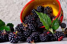 How can some things, like. What Do Blackberries Taste Like Thrive Cuisine