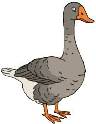 Bruce The Goose Bob S Burgers Wiki Fandom Powered By Wikia Goose Mood Pics Dnd Monsters