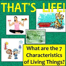 That S Life Identifying The 7 Characteristics Of Living Things Characteristics Of Living Things Science Teaching Resources Middle School Science Class