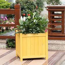 We did not find results for: 40 Large Planters For Trees And Flowers Insteading