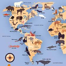 We did not find results for: Amazing Animal Atlas Book App Pages 1 25 Flip Pdf Download Fliphtml5