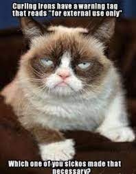 Check spelling or type a new query. 44 Grumpy Cat Memes Ideas Grumpy Cat Cat Memes Grumpy