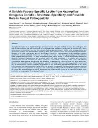 Check out full gallery with 637 pictures of michaela kocianova. Pdf A Soluble Fucose Specific Lectin From Aspergillus Fumigatus Conidia Structure Specificity And Possible Role In Fungal Pathogenicity