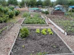 A brick path is ideal if you're looking to create a meandering path through your garden or to create a welcoming path leading to your front door. Allotment Garden Paths Allotment Gardens