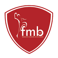 Software y App de Gestión de Clubes de Balonmano