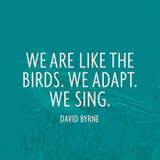 David Byrne Quotes. QuotesGram via Relatably.com