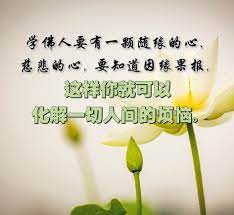学佛人要有一颗随缘的心 慈悲的心 要知道因缘果报 这样你就可以化解一切人间的烦恼 meaningful quotes morning quotes life quotes