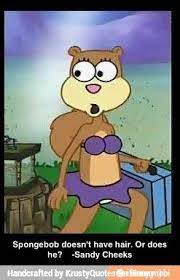Spongebob Doesn T Have Hair Or Does He Sandy Cheeks Spongebob And Sandy Sandy Cheeks Sandy From Spongebob