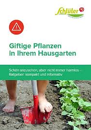 Erstaunlich viele zierpflanzen im garten sind zwar schön, aber auch gefährlich. Giftige Pflanzen In Ihrem Hausgarten Schon Anzusehen Aber Nicht Immer Harmlos Giftige Pflanzen In Ihrem Garten German Edition Kindle Edition By Schluter Garten Crafts Hobbies Home Kindle Ebooks Amazon Com