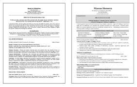multiple careers resume example