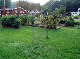 Short fencing and fishing line would be much more cost effective than 8' fencing! A Nearly Invisible Fishing Line Deer Fence