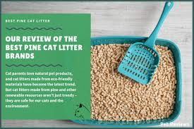 With corn cat litter, this could happen right in your litter box. 7 Best Natural Eco Friendly Cat Litters That Are Biodegradable In 2021