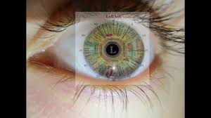Reading Your Eyes With Iridology Easy Version