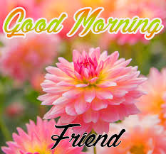 Best good morning love images for girlfriend, boyfriend, in hindi and english. Good Morning Flower Images Free Download Good Morning