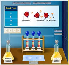 This resource outlines three possible scenarios based on the focus of the labs. Virtual Labs Created By Glencoe