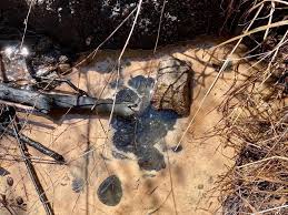 Image result for White 1957 California Oil Company