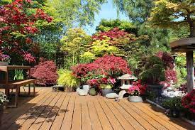 When they see a potted plant in. 35 Patio Potted Plant And Flower Ideas Creative And Lovely Photos Patio Potted Plants Potted Plants Patio Plants On Deck