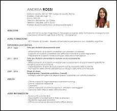 Il curriculum delle studente, che registrerà il percorso formativo di ogni studente della scuola. Modello Curriculum Vitae Insegnante Di Sostegno Per Studenti Diversamente Abili Livecareer