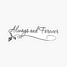 We did not find results for: Always Forever The Originals Zipper Pouch By Rose112 Redbubble