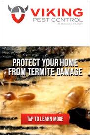You are probably wondering how much does pest control cost? Viking Pest Control Vikingpestcontrol Profile Pinterest