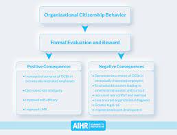 Organizational Citizenship Behavior Benefits And 3 Best Practices