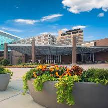 Spectrum health find a doctor. Find A Doctor Spectrum Health