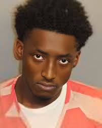 Ciera Dawn Odenthal.** In October of 2008, Ciera Dawn Odenthal's mother was  arrested in Lee County