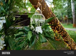 We did not find results for: Luxury Wedding Image Photo Free Trial Bigstock