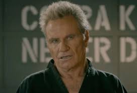 Discover and share cobra kai quotes. Cobra Kai Finale Recap Season 3 Episode 10 December 19 Tvline