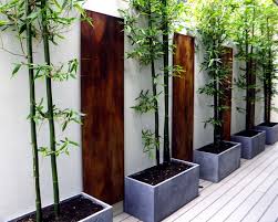 Love the unusual placement of the bamboo fencing: 56 Ideas For Bamboo In The Garden Out Of Sight Or Decoration Interior Design Ideas Ofdesign