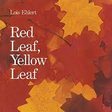 It is for educational pur. Red Leaf Yellow Leaf Big Book Amazon De Ehlert Lois Fremdsprachige Bucher
