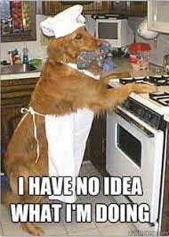 White kitchen appliances are making a comeback. 57 Fun With Appliances Ideas Laugh Bones Funny Things With Faces