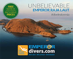 291 points · 11 comments. Lessons From Lockdown Divernet