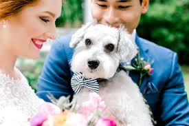 Colorful and romantic real wedding