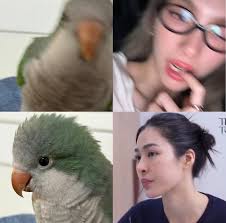 觀世音佛祖保佑大家闔家平安| Facebook